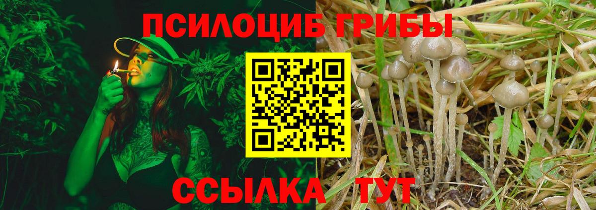 Псилоцибиновые грибы Magic Shrooms  Псилоцибиновые грибы мицелий  Вход с VPN  Воронеж 